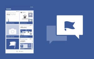  Gestionnaire de page Facebook pro