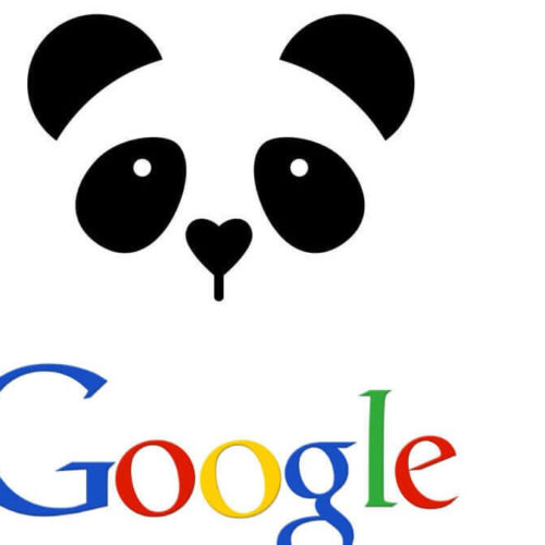 Algorithme Panda : Google veut un contenu de qualité !